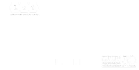 Descripción de la imagen